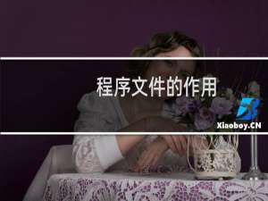 程序文件的作用