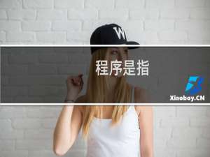 程序是指