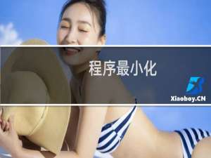 程序最小化