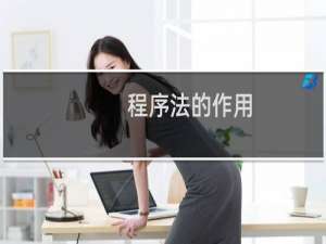 程序法的作用