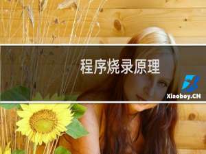 程序烧录原理