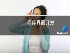 程序界面开发