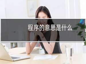 程序的意思是什么