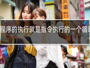 程序的执行就是指令执行的一个循环过程