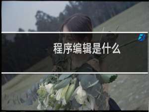 程序编辑是什么