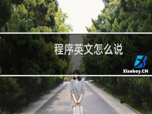 程序英文怎么说