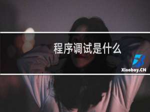 程序调试是什么