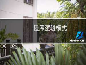 程序逻辑模式