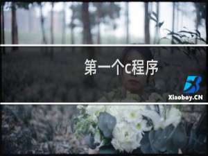 第一个c程序