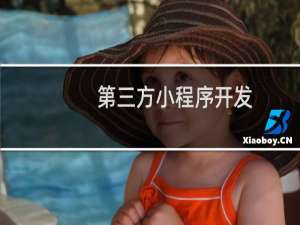 第三方小程序开发