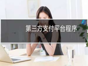 第三方支付平台程序