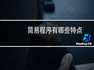 简易程序有哪些特点