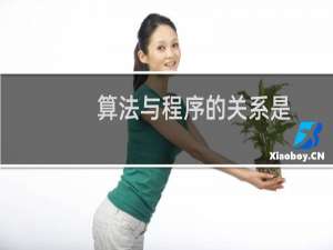算法与程序的关系是