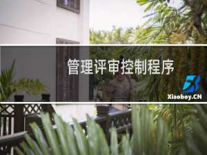 管理评审控制程序