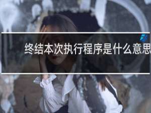 终结本次执行程序是什么意思
