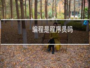 编程是程序员吗