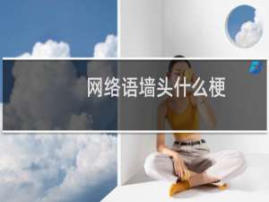 网络语墙头什么梗