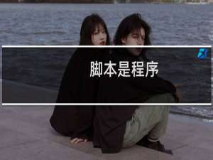 脚本是程序
