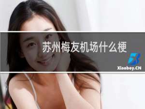 苏州梅友机场什么梗