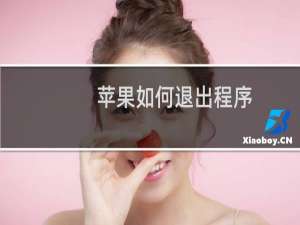 苹果如何退出程序