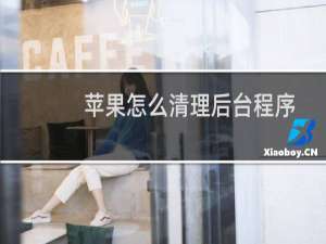 苹果怎么清理后台程序