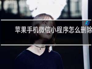 苹果手机微信小程序怎么删除