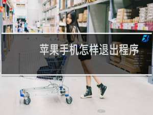 苹果手机怎样退出程序