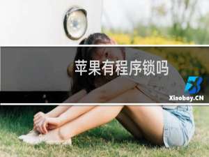 苹果有程序锁吗