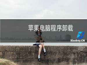 苹果电脑程序卸载