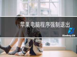苹果电脑程序强制退出