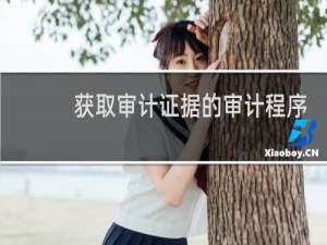 获取审计证据的审计程序