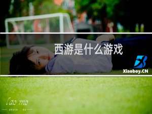 西游是什么游戏