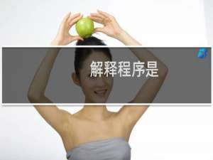 解释程序是