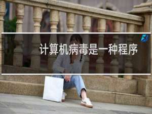 计算机病毒是一种程序