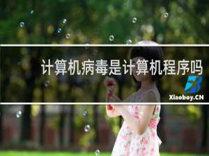 计算机病毒是计算机程序吗