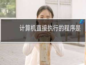 计算机直接执行的程序是