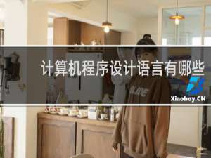 计算机程序设计语言有哪些