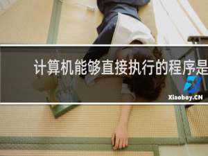 计算机能够直接执行的程序是