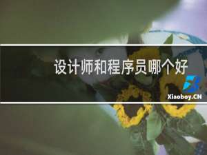 设计师和程序员哪个好