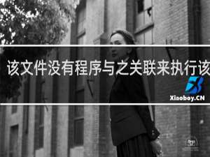 该文件没有程序与之关联来执行该操作