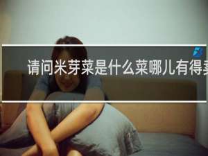 请问米芽菜是什么菜哪儿有得卖