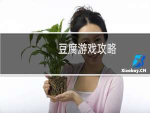 豆腐游戏攻略