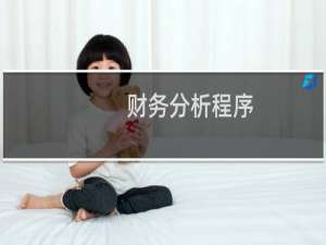 财务分析程序
