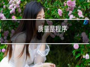 质量是程序