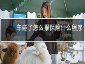 车碰了怎么报保险什么程序