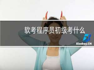 软考程序员初级考什么