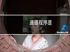 通道程序是