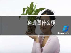 道理哥什么梗