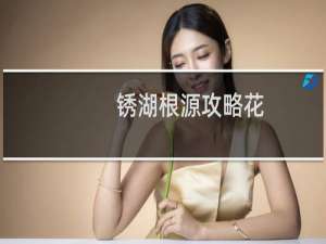 锈湖根源攻略花