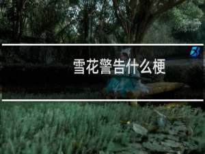雪花警告什么梗